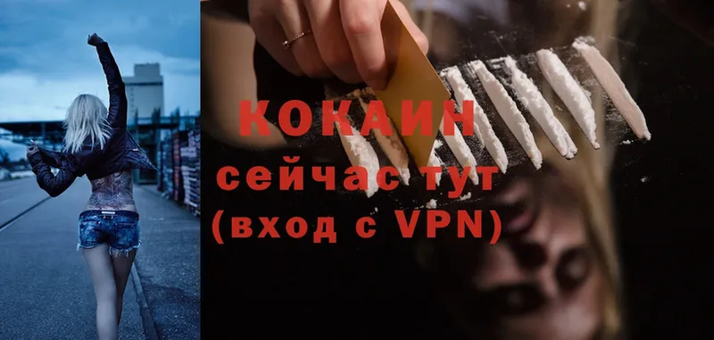 hydra как зайти  Сортавала  COCAIN Эквадор 